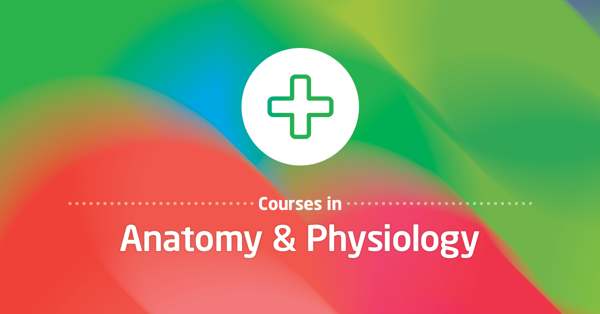 Online nursing, medical law, health and social care through next-generation learning